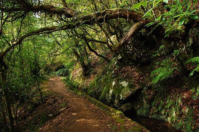 Ribeiro Frio - Portela (Full Day Walk) - About Your Stay
