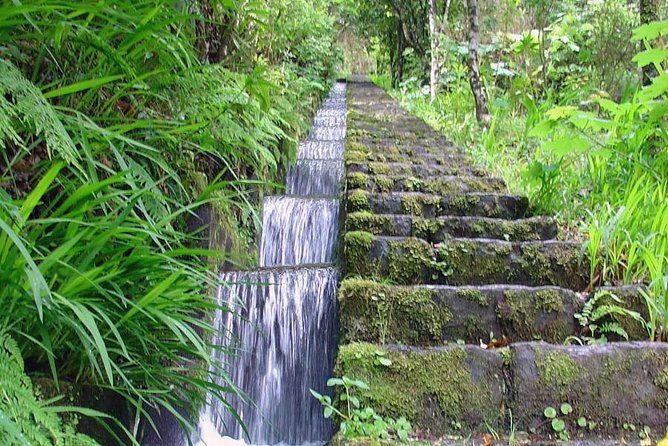 Ribeiro Frio - Portela (Full Day Walk) - Inclusions and Amenities