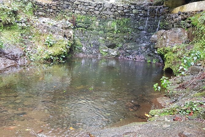 Ribeiro Frio - Portela (Full Day Walk) - Accessibility and Participation
