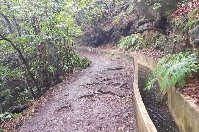 Ribeiro Frio - Portela (Full Day Walk) - Review Highlights