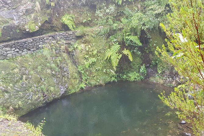 Ribeiro Frio - Portela (Full Day Walk) - Questions About Staying Here