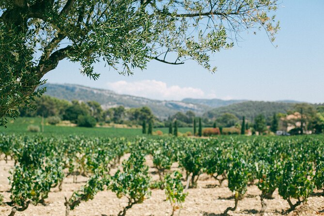 Ribera and Rioja Wineries Private Tour From Madrid - Discover Ribera Wineries