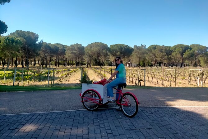 Ribera Del Duero 1 Day Wine Tour in English From Madrid - Meeting and Pickup