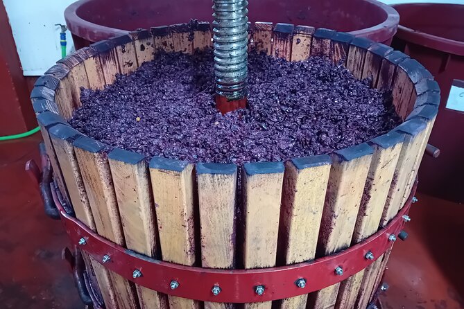 Ribera Del Duero 1 Day Wine Tour in English From Madrid - Scenic Drive