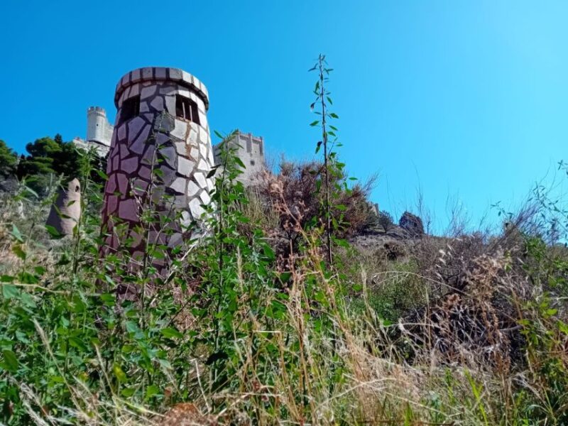 Ribera Del Duero Tour: Full Day Wine Tour From Madrid - Key Points