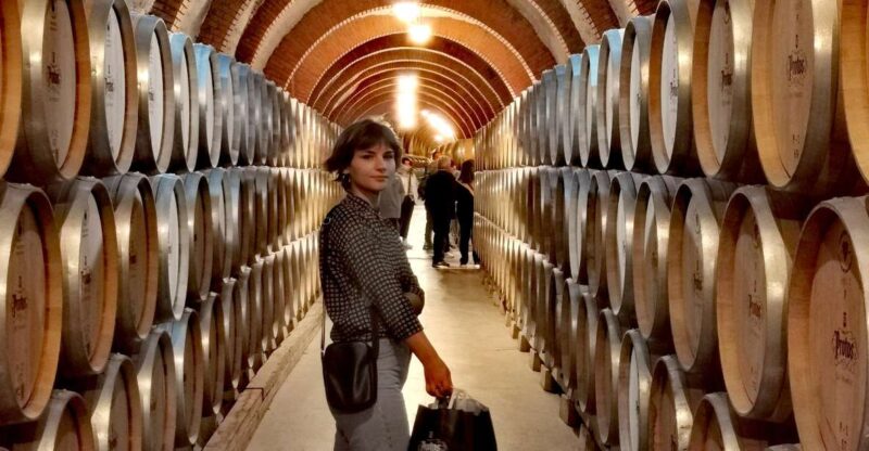Ribera Del Duero Wine Region Private Tour - Winery Visits and Tastings