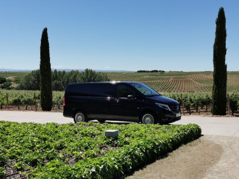 Ribera Del Duero Wine Region Private Tour - Lunch in a Village