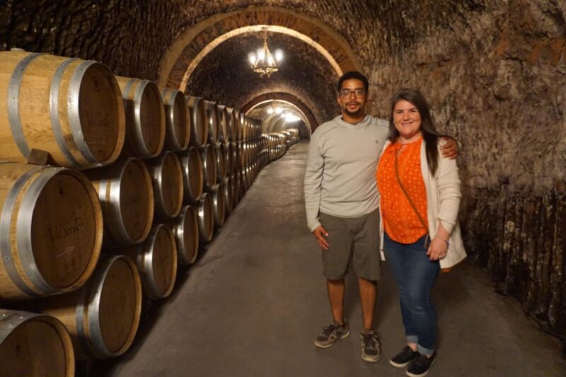 Ribera Del Duero Wine Region Private Tour - Return Transfer to Madrid