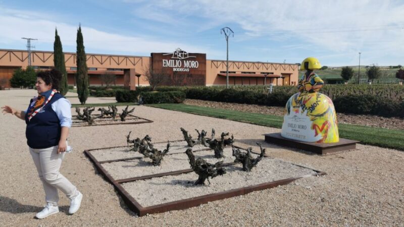Ribera Del Duero Wine Region Private Tour - Internationally Renowned Wine Region