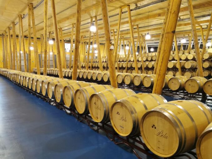 Ribera Del Duero Wine Region Private Tour - Winemaking Process Exploration