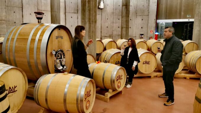 Ribera Del Duero Wine Region Private Tour - Booking and Cancellation Policy