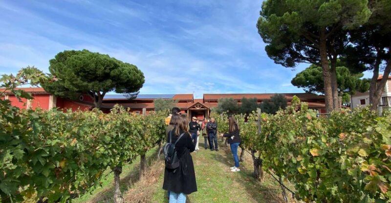 Ribera Del Duero: Wine Tour From Madrid - English or Spanish - Highlights of the Tour