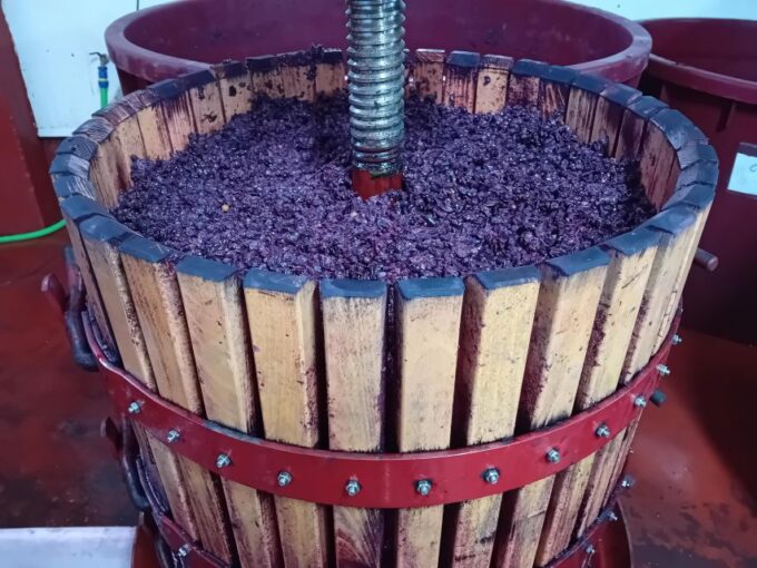 Ribera Del Duero: Wine Tour From Madrid - English or Spanish - Booking Information