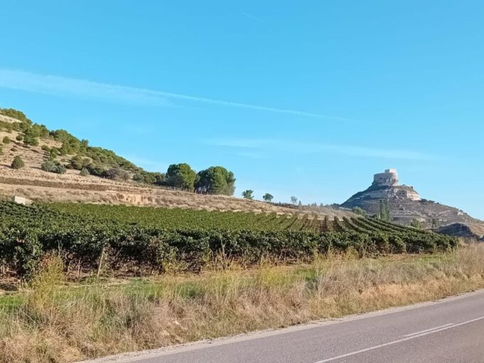 Ribera Del Duero: Wine Tour From Madrid - English or Spanish - Cancellation and Refund Policies