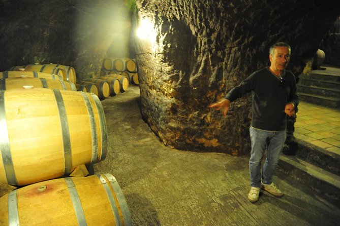 Ribera Del Duero Wineries Guided Tour & Wine Tasting From Madrid - Enjoy Guided Wine Tastings