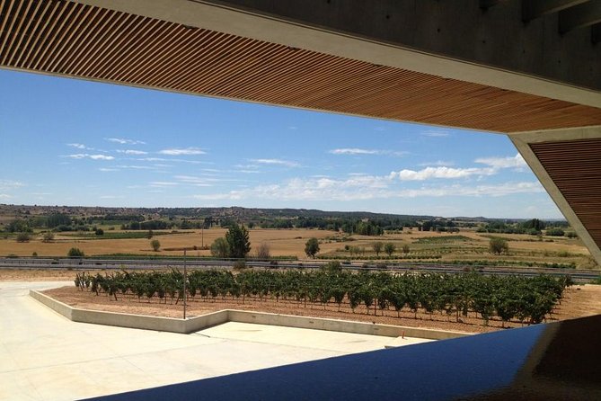 Ribera Del Duero Wineries Guided Tour & Wine Tasting From Madrid - Snacks and Local Expertise Included
