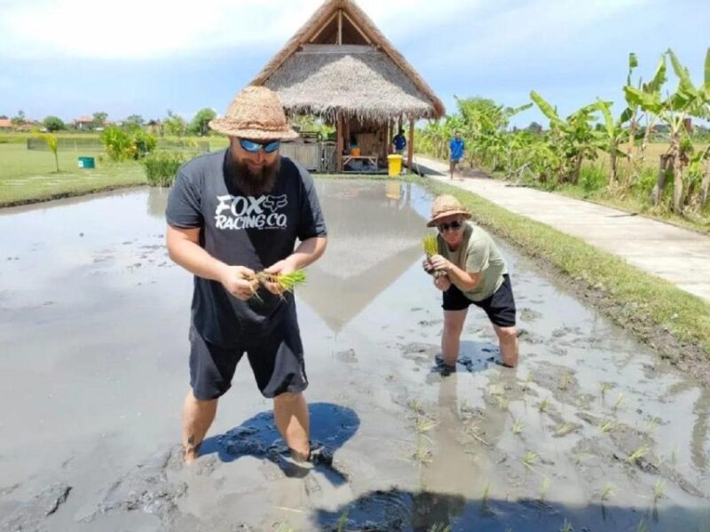 Rice Farming and Bali Village Life - Frequently Asked Questions