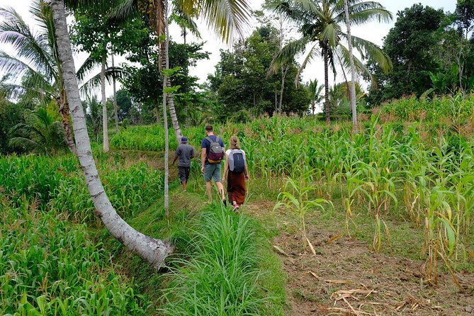 Rice Paddies, Local Villages and Handicraft - Savoring Local Culinary Delights