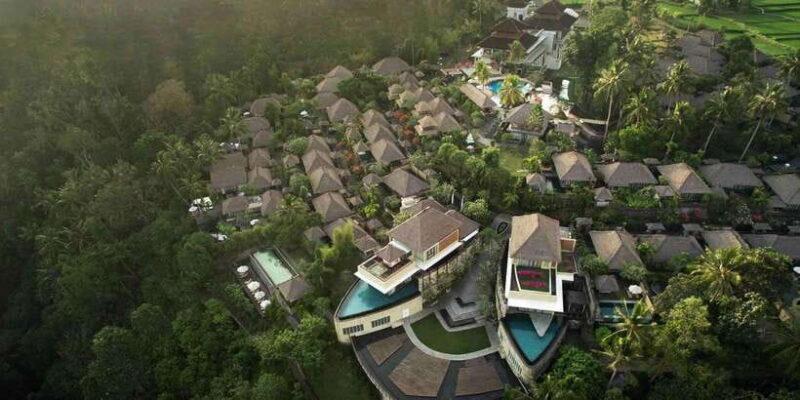 Rice Paddy Elegance: Gourmet Breakfast or High Tea in Ubud - Meal Options