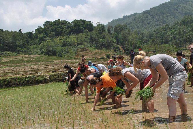 Rice Plantation Experience in Bhaktapur - Typical Newari Meal