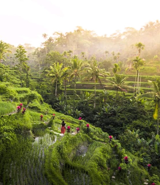 Rice Terrace, Tirta Empul Temple and Waterfall With Optional - Pickup Location