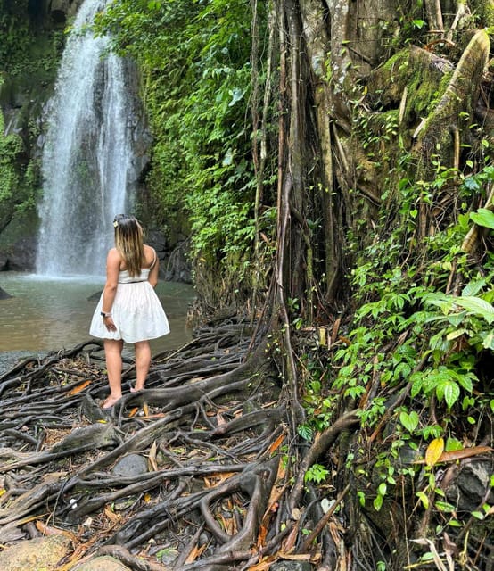 Rice Terrace, Tirta Empul Temple and Waterfall With Optional - Ulu Petanu Waterfall