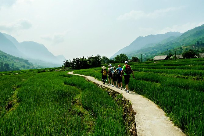 Rice Terraced Fields & Homestay Experience– 2D 1N - Exploring Bamboo Forest