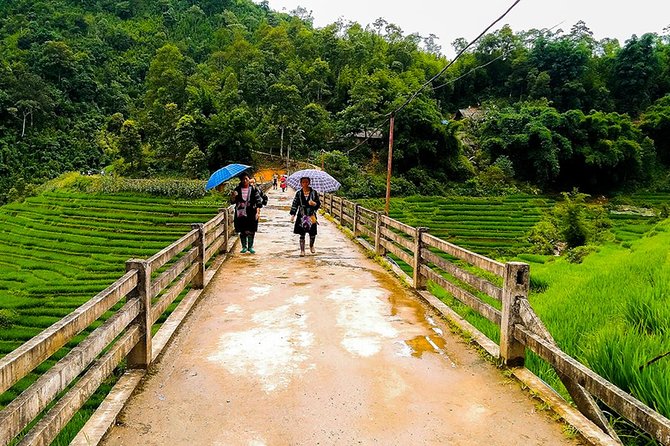 Rice Terraced Fields & Homestay Experience– 2D 1N - Inclusions and Exclusions