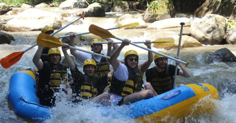 Rice Terraces ,Ubud Adventure Gorila Face ATV & Ravting - Key Points