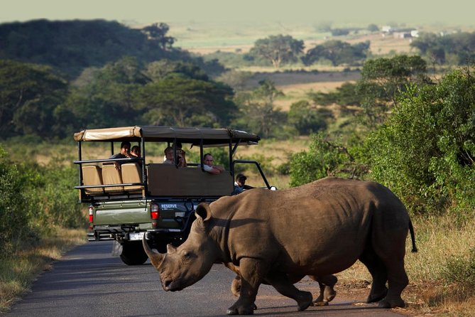 Richards Bay Shore Excursion: Private Small Group Hluhluwe Safari - Key Points