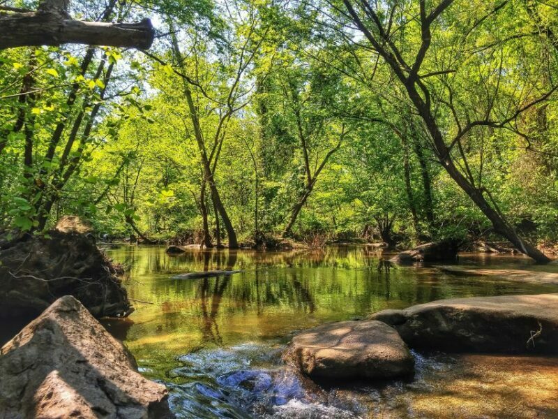 Richmond: Guided Hike in James River Park - Richmond: Guided Hike in James River Park – A Natural Escape in the City