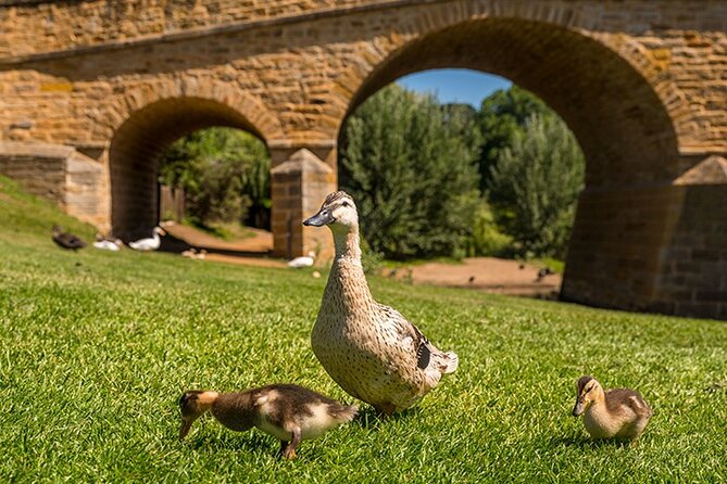 Richmond Historic Afternoon Tour From Hobart - Tour Duration