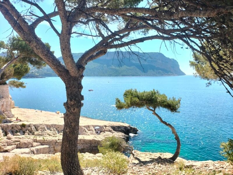 Richness of Provence in One Day - Customizable Private Trip - Key Points