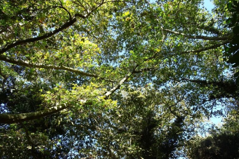 Richtis Gorge Private Guided Hiking Tour - Participant Requirements