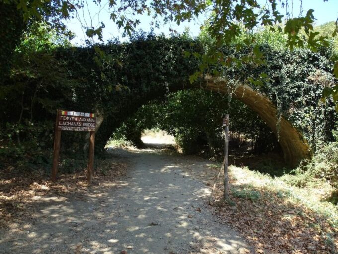 Richtis Gorge Private Guided Hiking Tour - Witnessing Richtis Waterfall