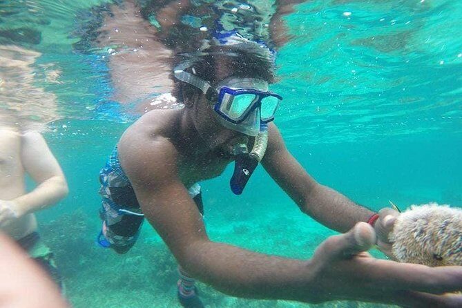Rick's Cafe Sunset Cruise and Snorkelling - FAQ