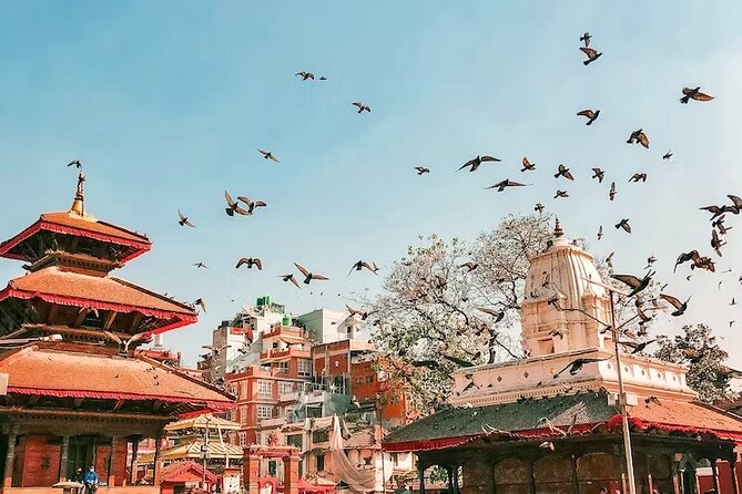 Rickshaw Ride Sightseeing at Kathmandu Durbar Square - Activity Details