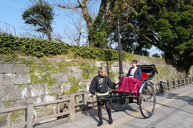 Rickshaw Tour of Kagoshimas Historical and Cultural Sites - Important Considerations