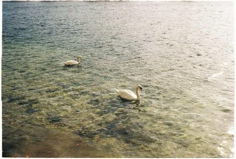 Ride a Motorboat Into the Sunset & Enjoy a Picnic - Good To Know
