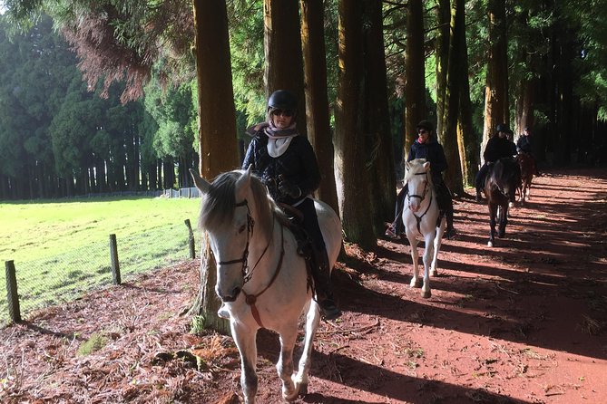 Ride a Volcano - Go to the Gardens in the Woods - Knowledgeable and Accommodating Guides