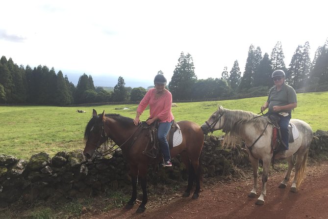 Ride a Volcano - Go to the Gardens in the Woods - Unique Riding Experience