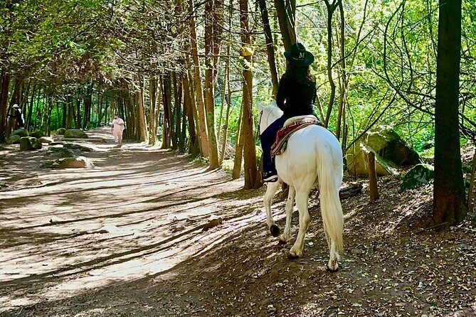 Ride Horses, Learn to Cook with Locals in Mexico City - Exploring the Itinerary in Detail