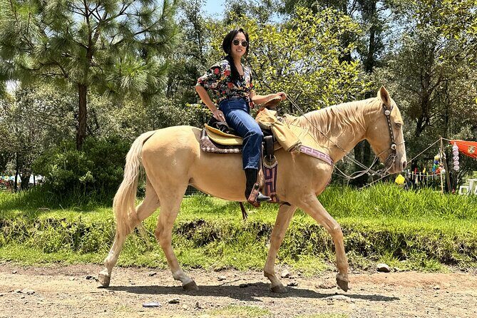 Ride Horses, Learn to Cook with Locals in Mexico City - Who Will Love This Tour?