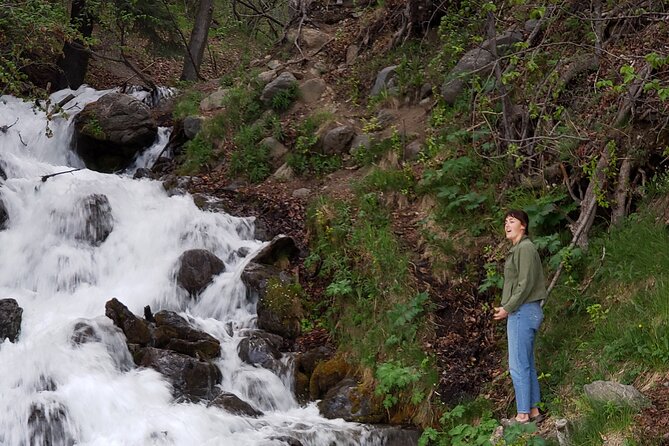 Ride & Roam: Mystery Sightseeing Tour - Nature and Alaskan Culture