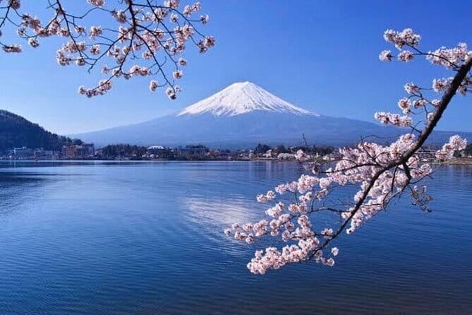 Ride & Roll: Mt. Fuji E-Bike Tour and Sushi Workshop - Sushi Workshop Experience