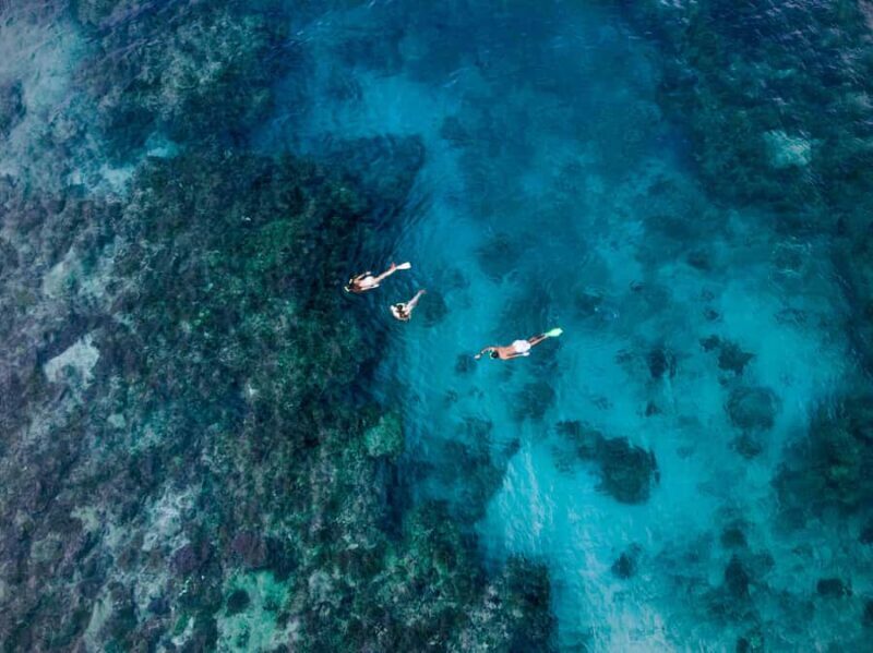 Ride & Slide by South Sea Cats - Half Day Snorkelling Trip - An Entertaining and Active Half-Day