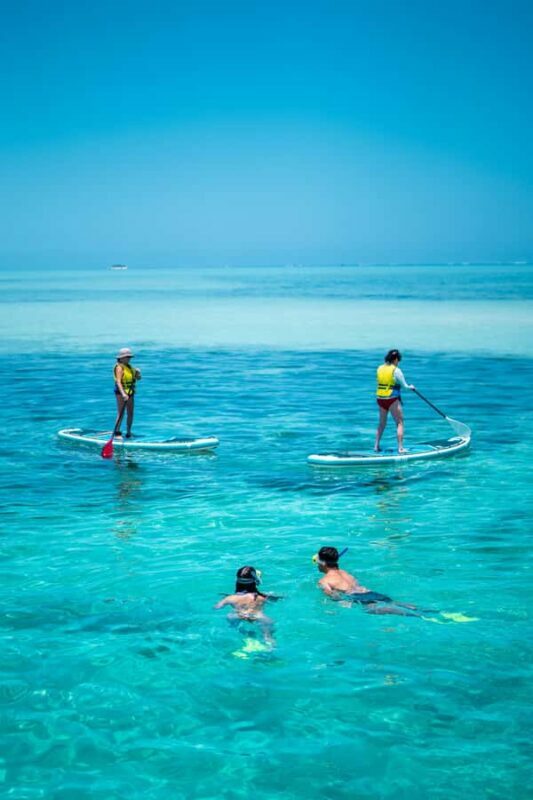 Ride & Slide by South Sea Cats - Half Day Snorkelling Trip - Why This Tour Offers Good Value