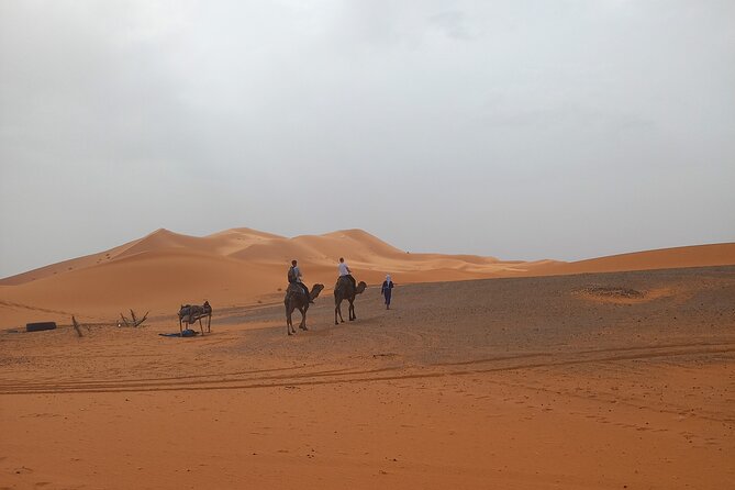Ride the Camels for Sunset in Merzouga Dunes - Exploring the Merzouga Dunes