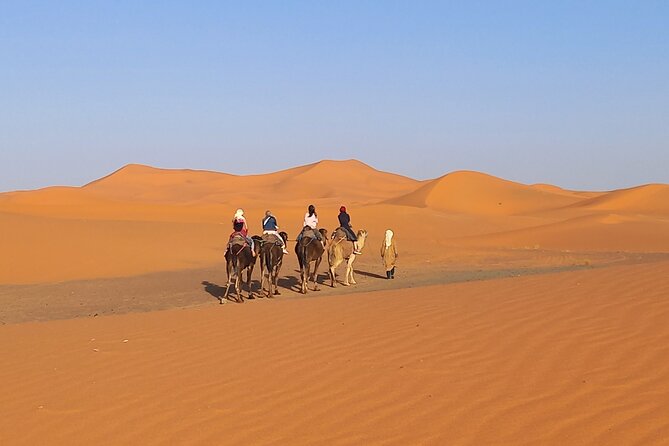 Ride the Camels for Sunset in Merzouga Dunes - Local Hospitality and Tea