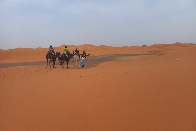 Ride the Camels for Sunset in Merzouga Dunes - Accessibility and Requirements